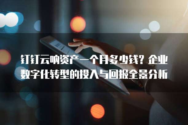 钉钉云呐资产一个月多少钱?企业数字化转型的投入与回报全景分析