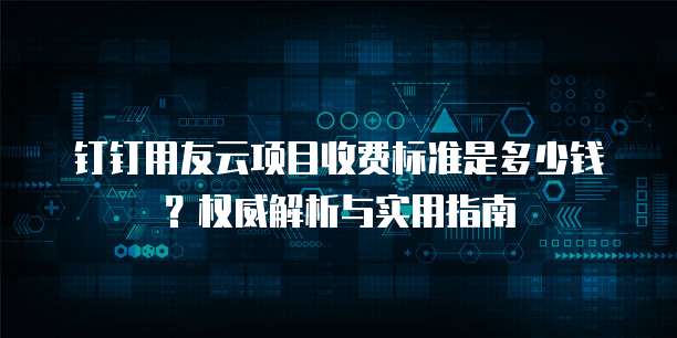 钉钉用友云项目收费标准是多少钱?权威解析与实用指南