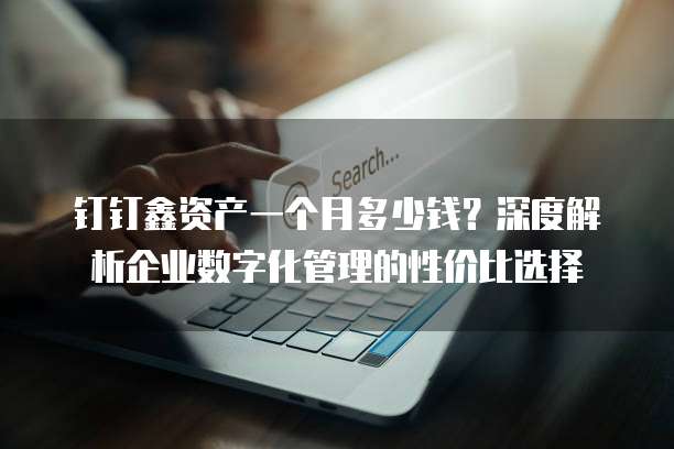 钉钉鑫资产一个月多少钱?深度解析企业数字化管理的性价比选择