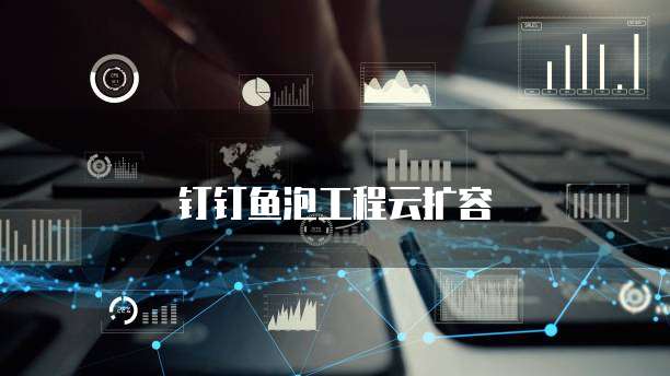 钉钉鱼泡工程云扩容