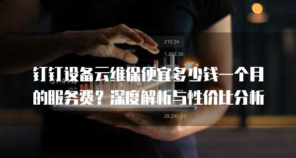 钉钉设备云维保便宜多少钱一个月的服务费?深度解析与性价比分析