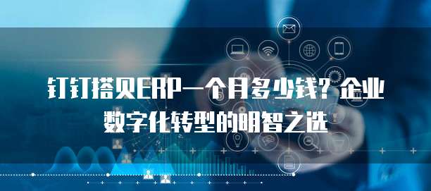 钉钉搭贝ERP一个月多少钱?企业数字化转型的明智之选