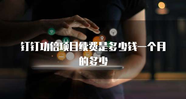 钉钉功倍项目续费是多少钱一个月的多少