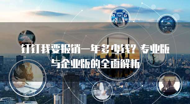 钉钉我要报销一年多少钱?专业版与企业版的全面解析