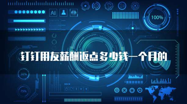 钉钉用友薪酬返点多少钱一个月的
