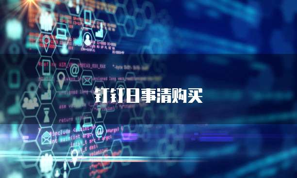 钉钉日事清购买