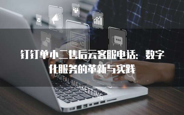 钉钉单小二售后云客服电话：数字化服务的革新与实践