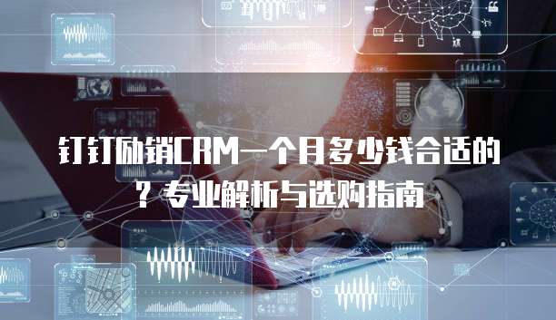 钉钉励销CRM一个月多少钱合适的?专业解析与选购指南