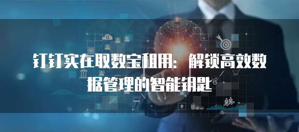 钉钉实在取数宝租用:解锁高效数据管理的智能钥匙