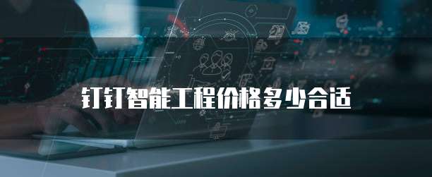 钉钉智能工程价格多少合适