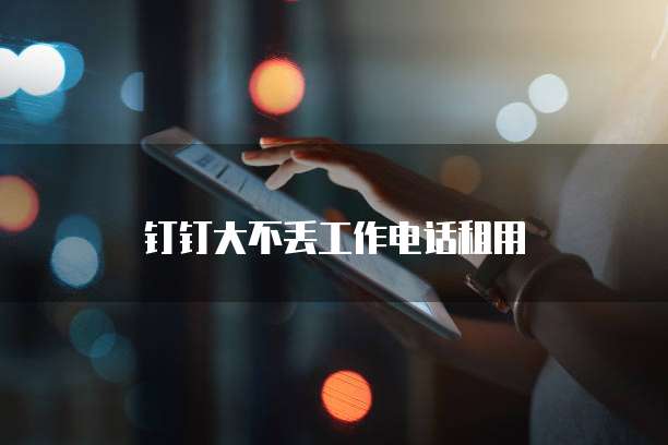 钉钉大不丢工作电话租用