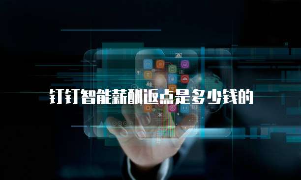 钉钉智能薪酬返点是多少钱的