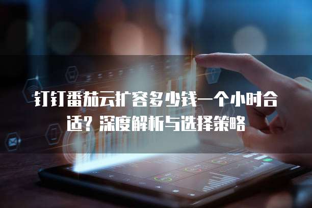 钉钉番茄云扩容多少钱一个小时合适?深度解析与选择策略