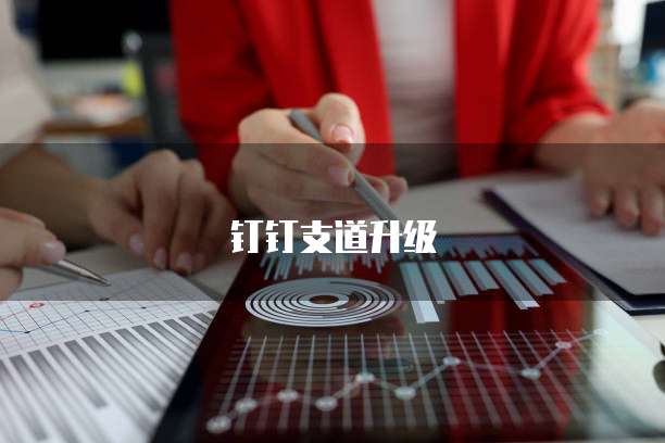 钉钉支道升级