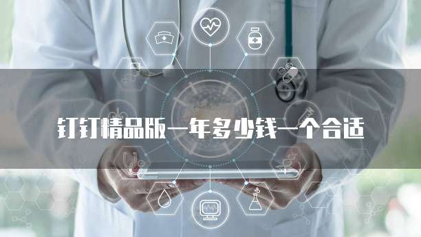 钉钉精品版一年多少钱一个合适