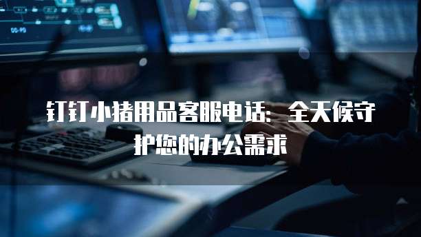 钉钉小猪用品客服电话：全天候守护您的办公需求