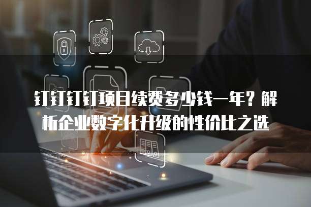 钉钉钉钉项目续费多少钱一年?解析企业数字化升级的性价比之选