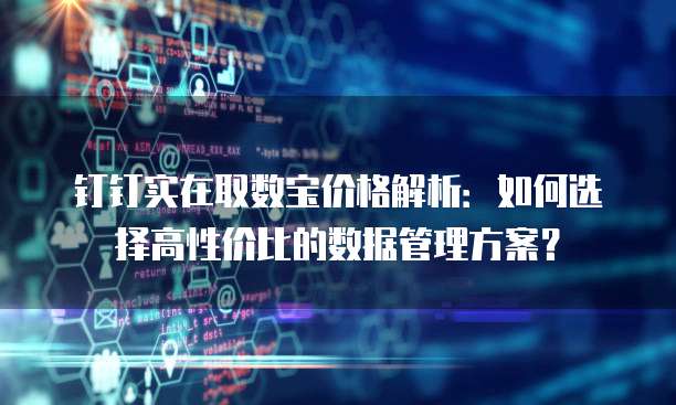 钉钉实在取数宝价格解析：如何选择高性价比的数据管理方案？