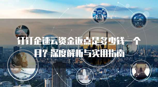 钉钉企速云资金返点是多少钱一个月?深度解析与实用指南