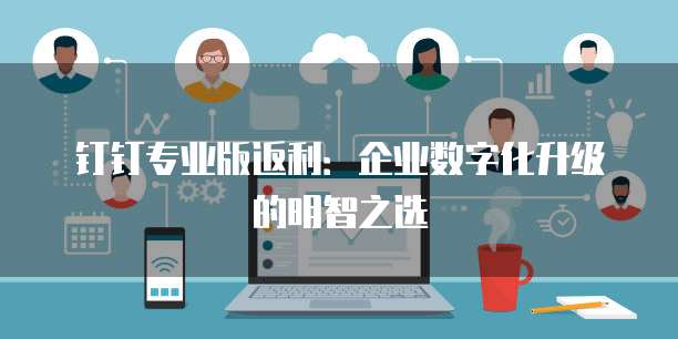 钉钉专业版返利:企业数字化升级的明智之选