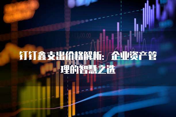钉钉鑫支出价格解析:企业资产管理的智慧之选
