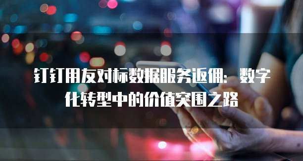 钉钉用友对标数据服务返佣:数字化转型中的价值突围之路