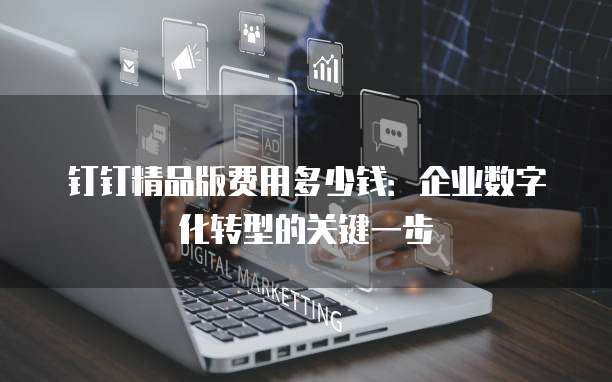 钉钉精品版费用多少钱:企业数字化转型的关键一步