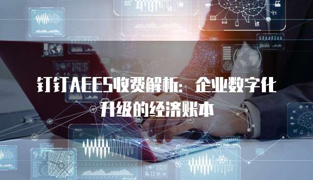钉钉AEES收费解析:企业数字化升级的经济账本