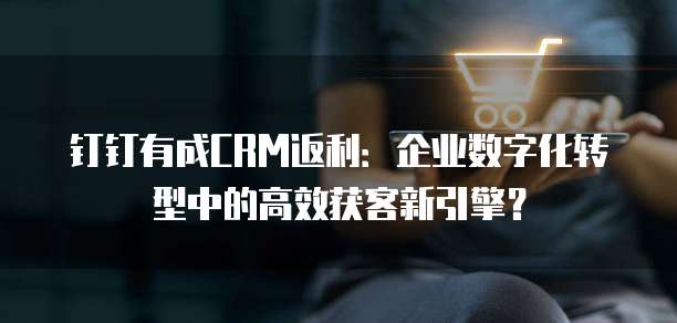 钉钉有成CRM返利:企业数字化转型中的高效获客新引擎?