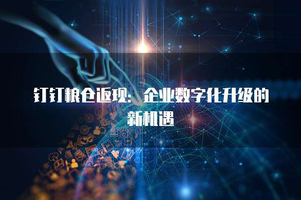钉钉粮仓返现:企业数字化升级的新机遇