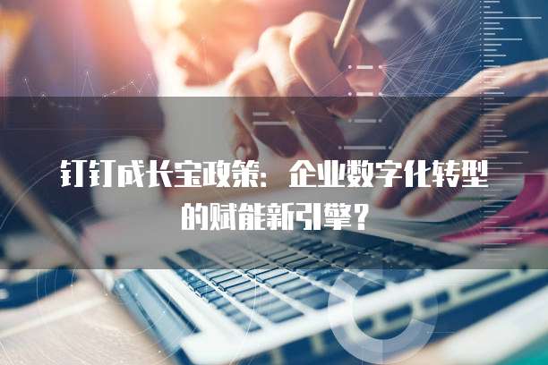 钉钉成长宝政策:企业数字化转型的赋能新引擎?