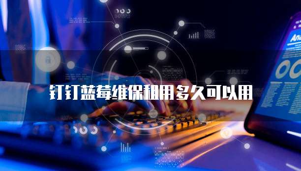 钉钉蓝莓维保租用多久可以用
