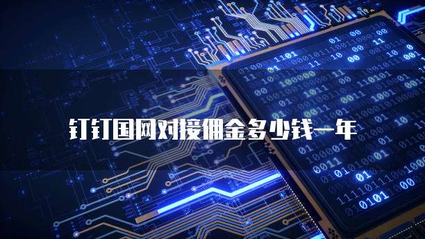 钉钉国网对接佣金多少钱一年