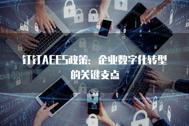 钉钉AEES政策:企业数字化转型的关键支点