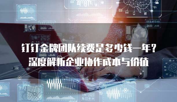 钉钉金牌团队续费是多少钱一年?深度解析企业协作成本与价值
