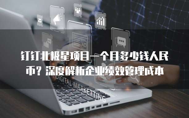 钉钉北极星项目一个月多少钱人民币?深度解析企业绩效管理成本