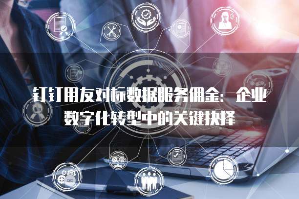钉钉用友对标数据服务佣金:企业数字化转型中的关键抉择
