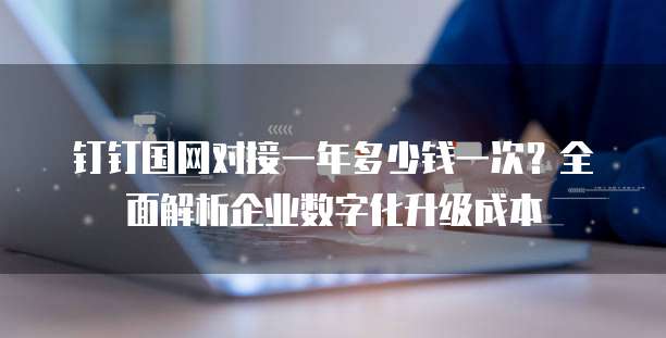 钉钉国网对接一年多少钱一次?全面解析企业数字化升级成本