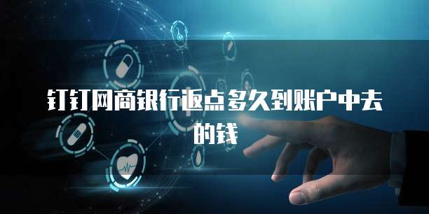 钉钉网商银行返点多久到账户中去的钱
