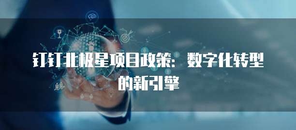 钉钉北极星项目政策:数字化转型的新引擎
