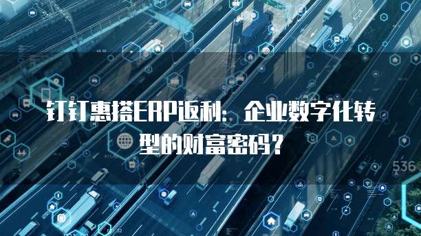 钉钉惠搭ERP返利:企业数字化转型的财富密码?