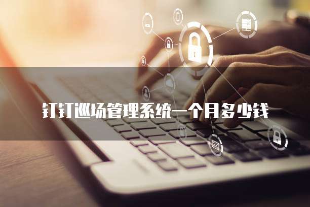 钉钉巡场管理系统一个月多少钱