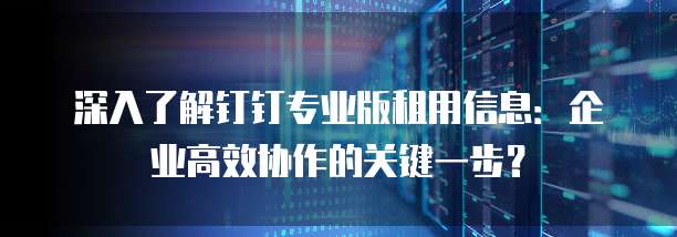 深入了解钉钉专业版租用信息:企业高效协作的关键一步?