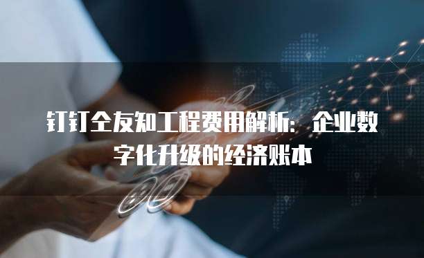 钉钉仝友知工程费用解析:企业数字化升级的经济账本