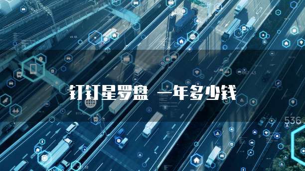 钉钉星罗盘 一年多少钱