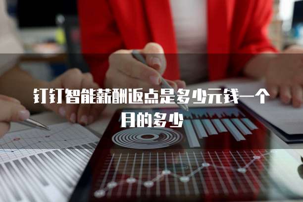 钉钉智能薪酬返点是多少元钱一个月的多少