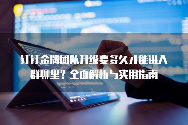 钉钉金牌团队升级要多久才能进入群聊里?全面解析与实用指南
