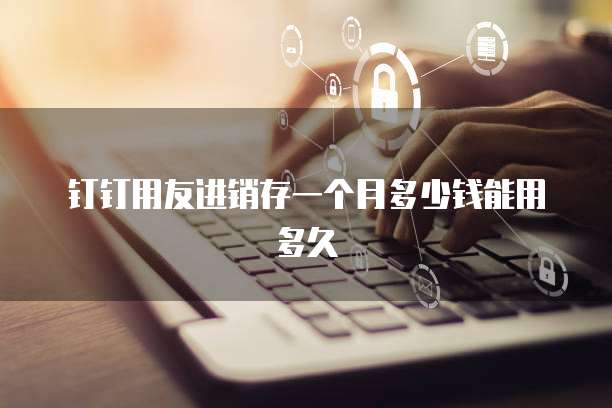 钉钉用友进销存一个月多少钱能用多久