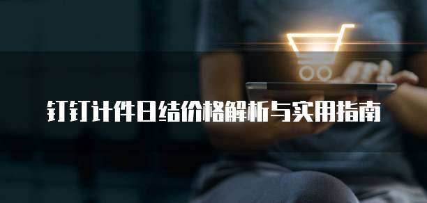 钉钉计件日结价格解析与实用指南