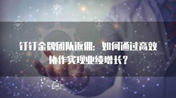 钉钉金牌团队返佣:如何通过高效协作实现业绩增长?